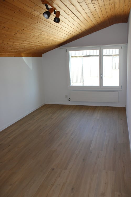 frisch renovierte Wohnung im Grünen 2