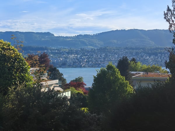 Aperçu de l'image de l'immobilier