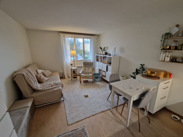 Schöne Studiowohnung in Uster mit grosser Terrasse 2