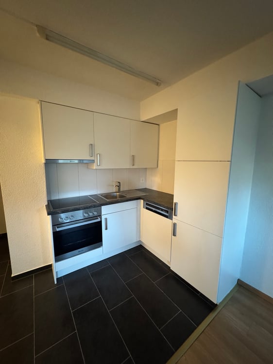 Grosszügige 2-Zimmerwohnung 4