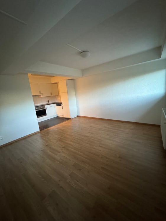 Grosszügige 2-Zimmerwohnung 3