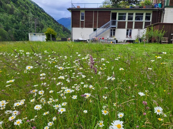 Möbliertes Zimmer an idyllischer Lage im Glarnerland 4
