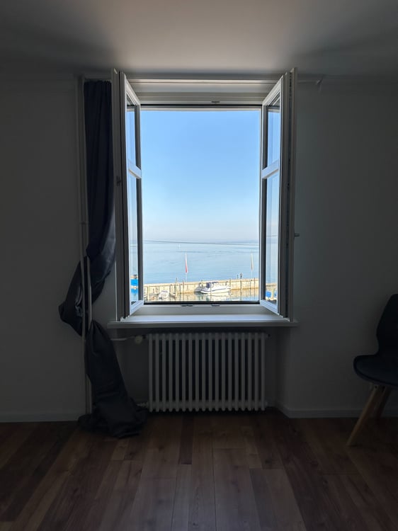 Frisch renovierte 2.5 Zimmer WHG direkt am See in Rorschach 3