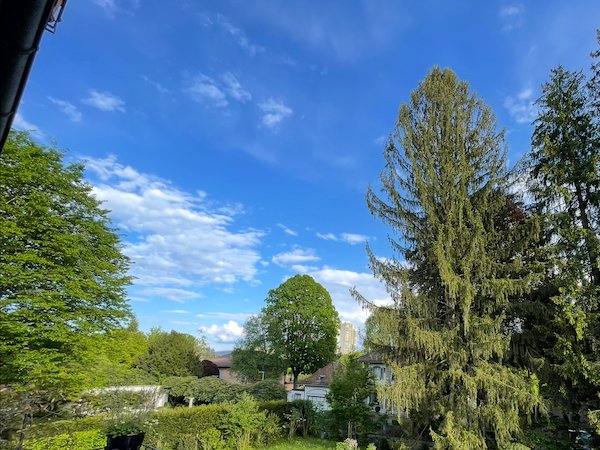 Schönes Südzimmer 20 m2 inkl. Mitbenutzung 5-Zi-Whg, Bern 5