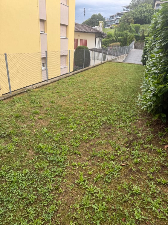 Appartamento con giardino 4