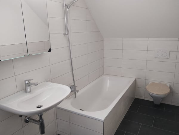 4 ½ Zimmer-Dachwohnung 3