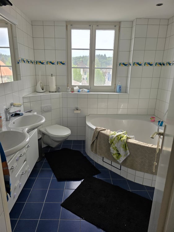 Dachwohnung 3