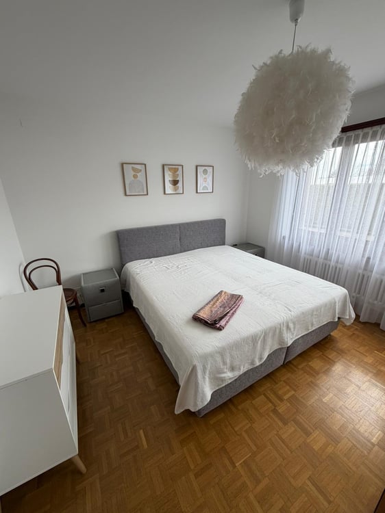 Appartamento 3 locali ammobiliato con giardinoDino (Lugano) 3
