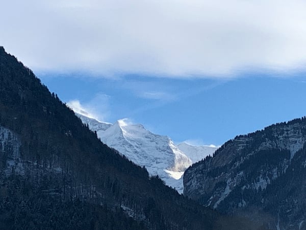 WG-Zimmer in 4.5-Zi. Wohnung Interlaken (WG-Wohnung) 5
