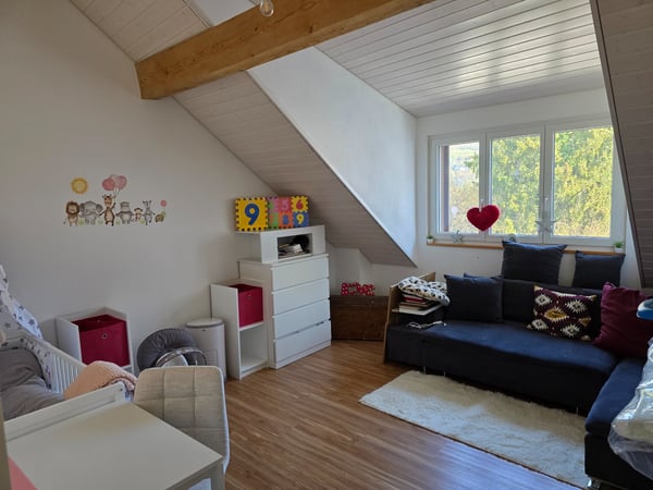 Wunderschöne Wohnung mit grossem Balkonin Wagenhausen 5