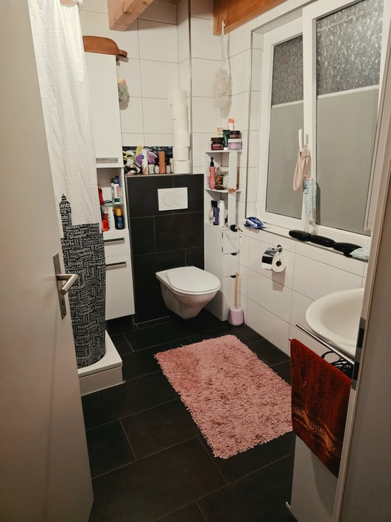 Wunderschöne Wohnung mit grossem Balkonin Wagenhausen 4