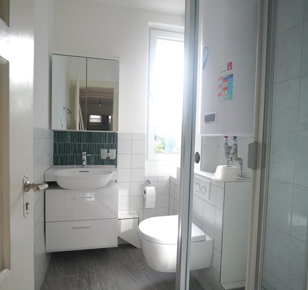 Renovierte 3-Zi-Wohnung, neue Küche, Bad & Fussbodenheizung 3