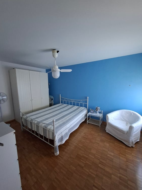 Subentrante luminoso appartamento 2.5 loc. libero da subito 2