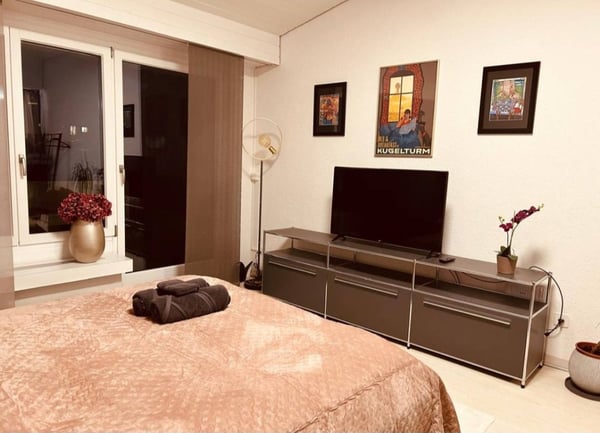 Moderne Studio-Wohnung in Schönengrund 4