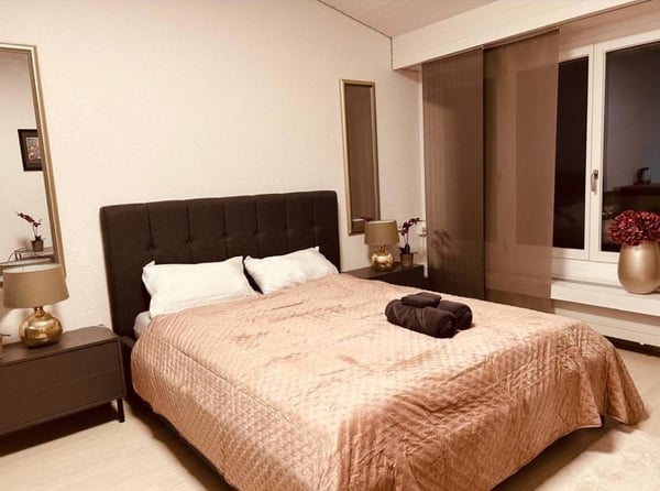 Moderne Studio-Wohnung in Schönengrund 3