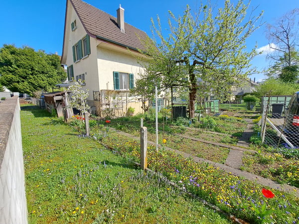 Charmantes Einfamilienhaus in ruhiger Lage von Dottikon 5