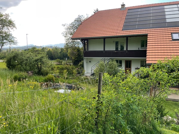 schöne Wohnung im Grünen 1
