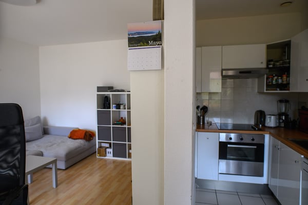Bright 2.5 Apartment in the Center of Lugano [Temporary] 3