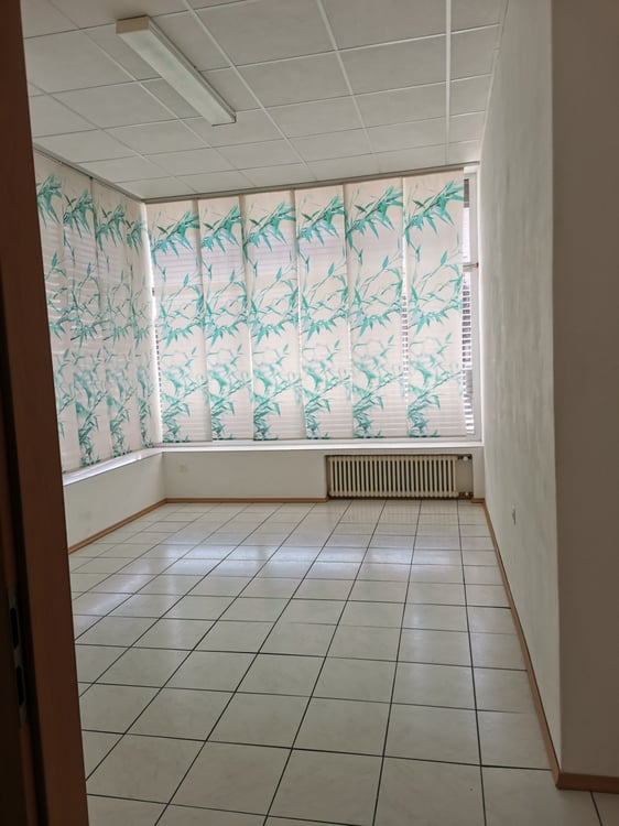 Appartamento 3.5 Biasca 5