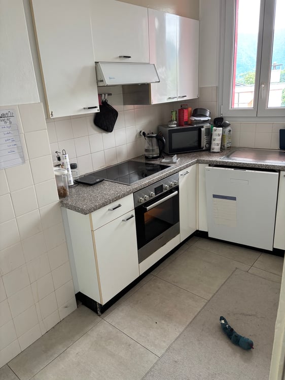 Appartamento in affitto 3.5 locali a massagno 2