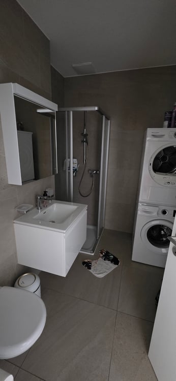 3.5 Zimmer Attikawohnung 3