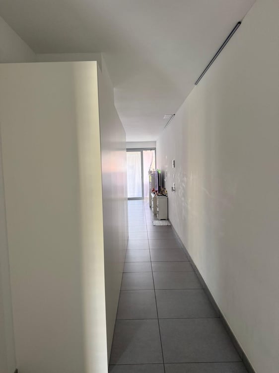 Cerco subentrante per appartamento a Bellinzona 3