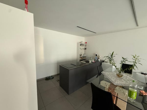 Cerco subentrante per appartamento a Bellinzona 4