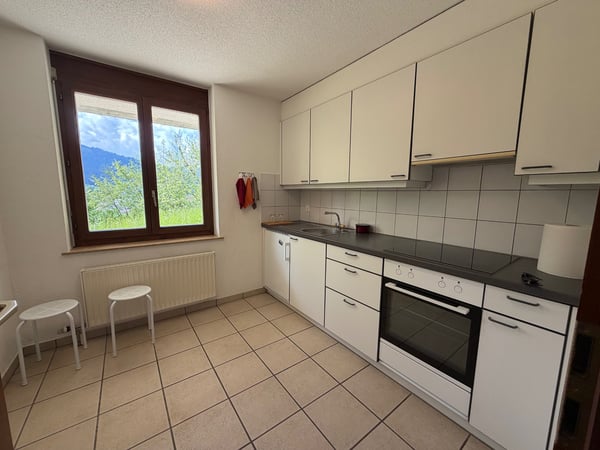 1.5p Terrasse & Parkplatz / 1.5p terrasse & parking Plasselb 3