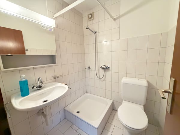 1.5p Terrasse & Parkplatz / 1.5p terrasse & parking Plasselb 5