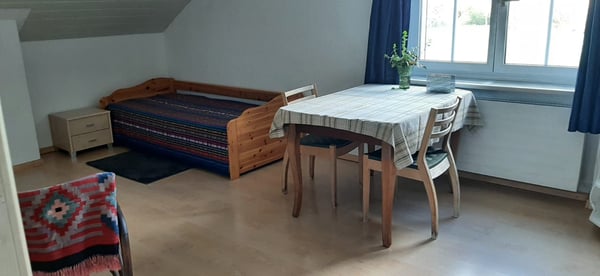 1 Zi-Whg per 1.9.2026 in Aesch BL an ruhigen Mann oder Frau 2