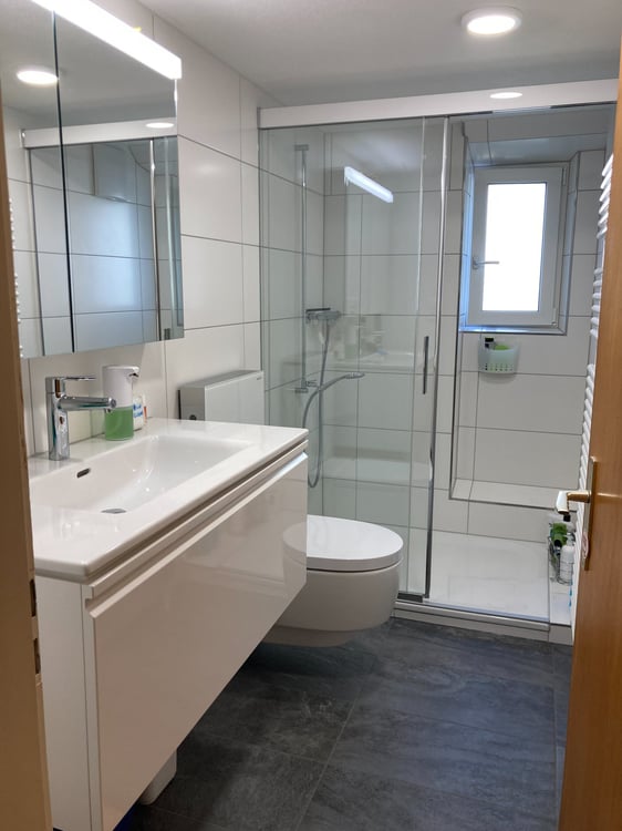 Wohnung mit grossem Garten 3