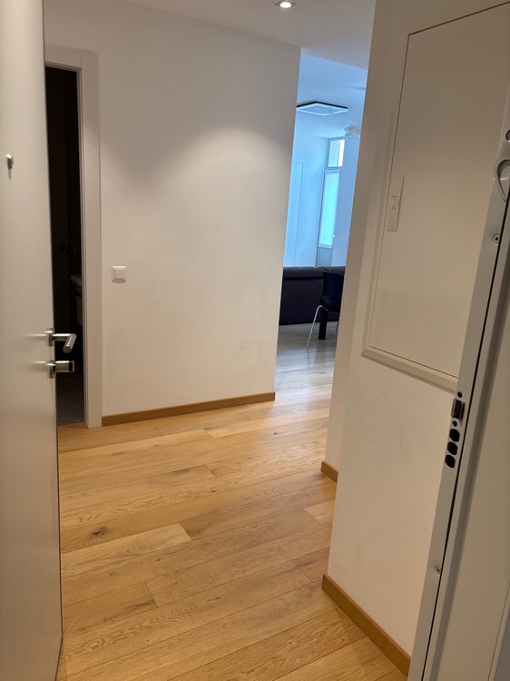Quartiere Maghetti affittasi 2.5 locali 4