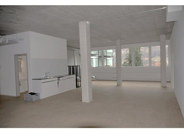 Einzigartiges Loft 125 m2 Leben am Walensee 1