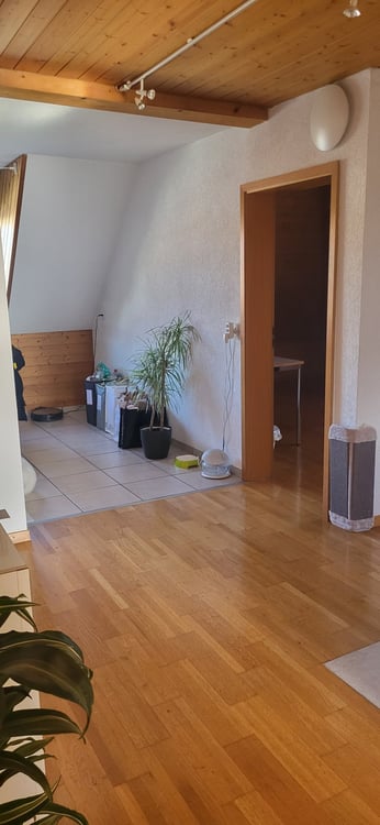 Schöne 4.5 Zimmer Dachwohnung ohne Balkon 4
