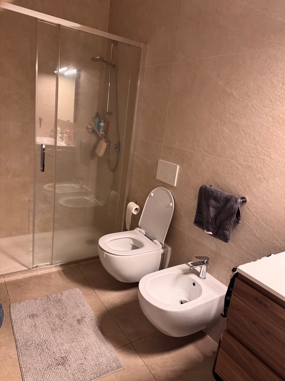 Affitasi 2,5 con giardino Pollegio 5
