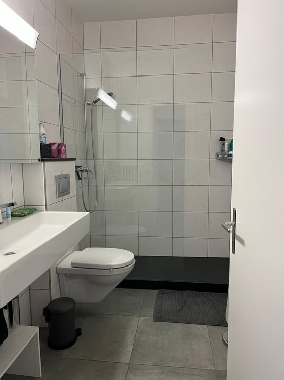 Möbilierte 2.5-Zimmer Wohnung in Losone 5