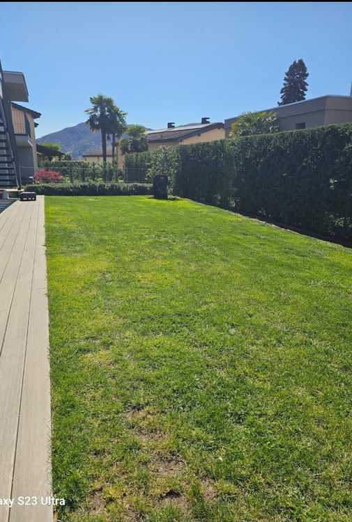 Appartamento 3.5 con giardino privato 5