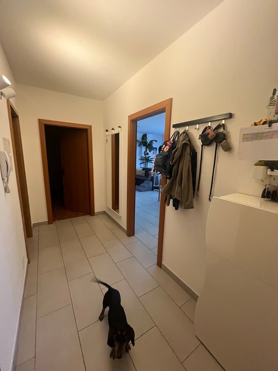 Subentrate per ampio 2.5 con giardino 3