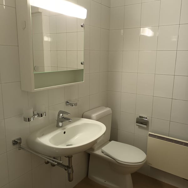 Splendido appartamento in affitto 5