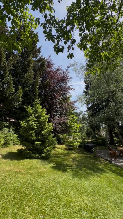 Haus im Schwarzwald/ Fernblick/ 2000bm2 Naturgrundstück 2