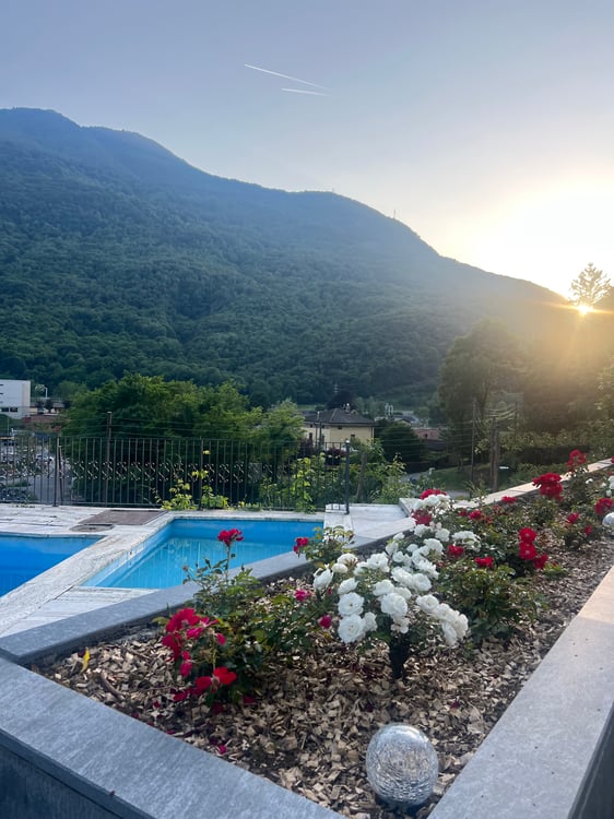 Appartamento 2.5 immerso nel verde con piscina 1