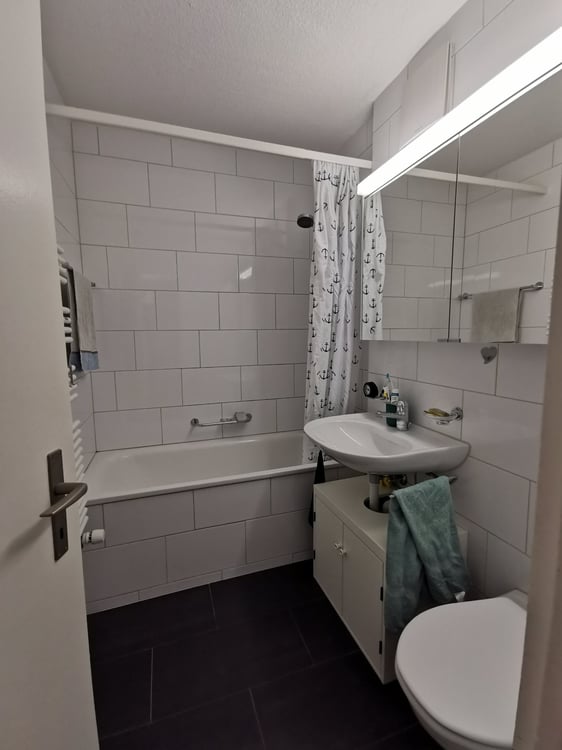 Helle 2,5 Zimmer-Wohnung in Bremgarten zur Zwischenmiete. 4