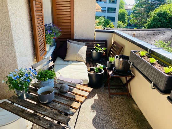 Wohnung 4 Zimmer zu vermieten 2