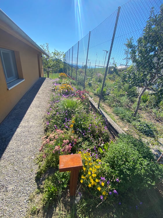 Einmaliges Tinyhouse zu vermieten (Inkl PP und Lagerraum) 3