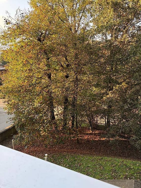 Preview image of the real estate