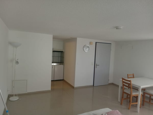 1 Zimmer Studio mit Kochnische/Bad/Keller 2