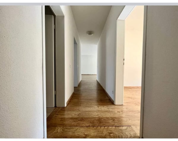 3,5 Zimmer Wohnung Tessin/Appartamento di 3,5 locali Ticino 5