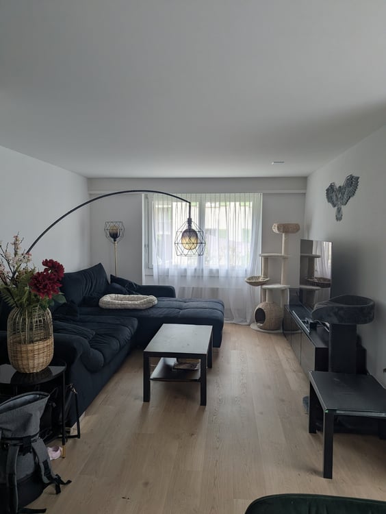 4.5 Zimmer Wohnung im Herzen von Schwyz 3