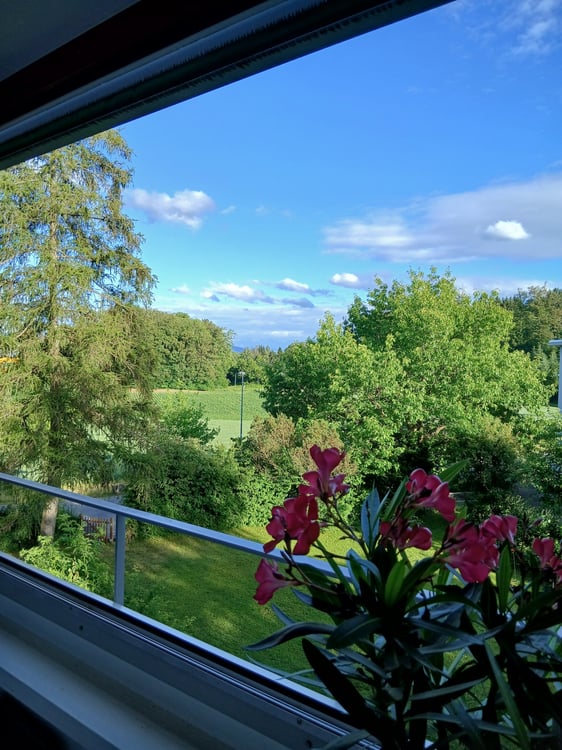 Grosse 4.5 Zi. Whg. Mit Balkon 3