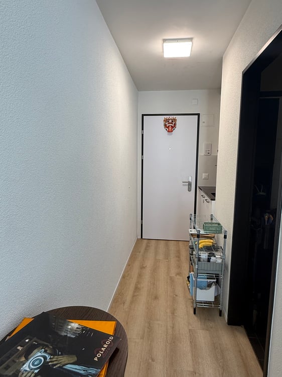 1 Zimmer-Wohnung in Zürich - hell und zentral 2